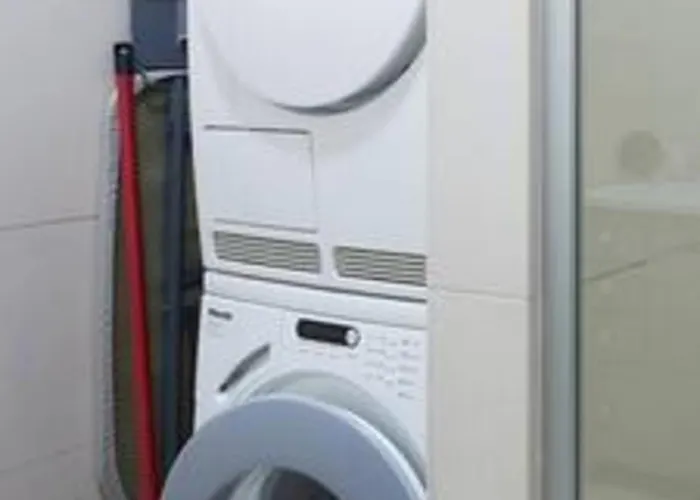 Old Tree Villa Zavala