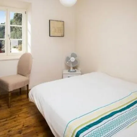 Вилла Old Tree Завала