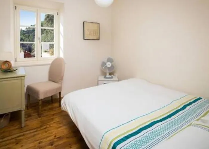 Villa Old Tree Zavala